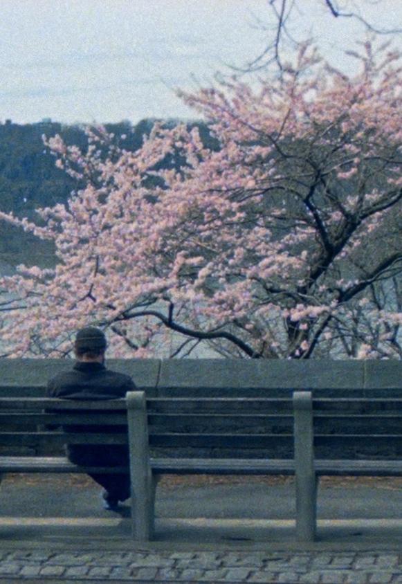 Dancing on the Silk Razor